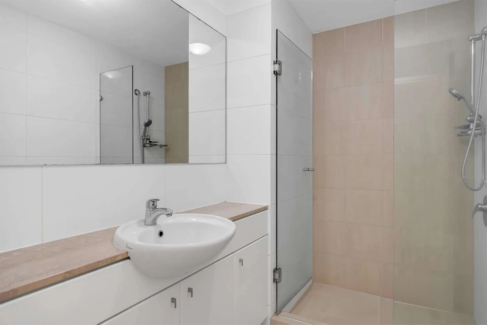 Shower door